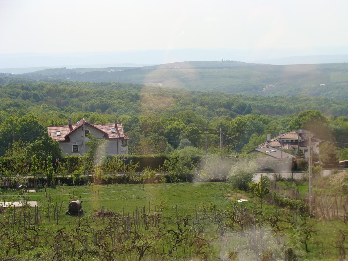 Pensiunea Taverna Bucium Iasi Luaran gambar